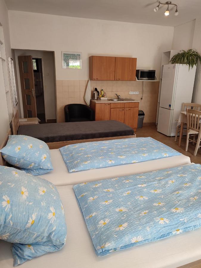 Pension Dana Karaskova Apartment Kutná Hora Exterior foto
