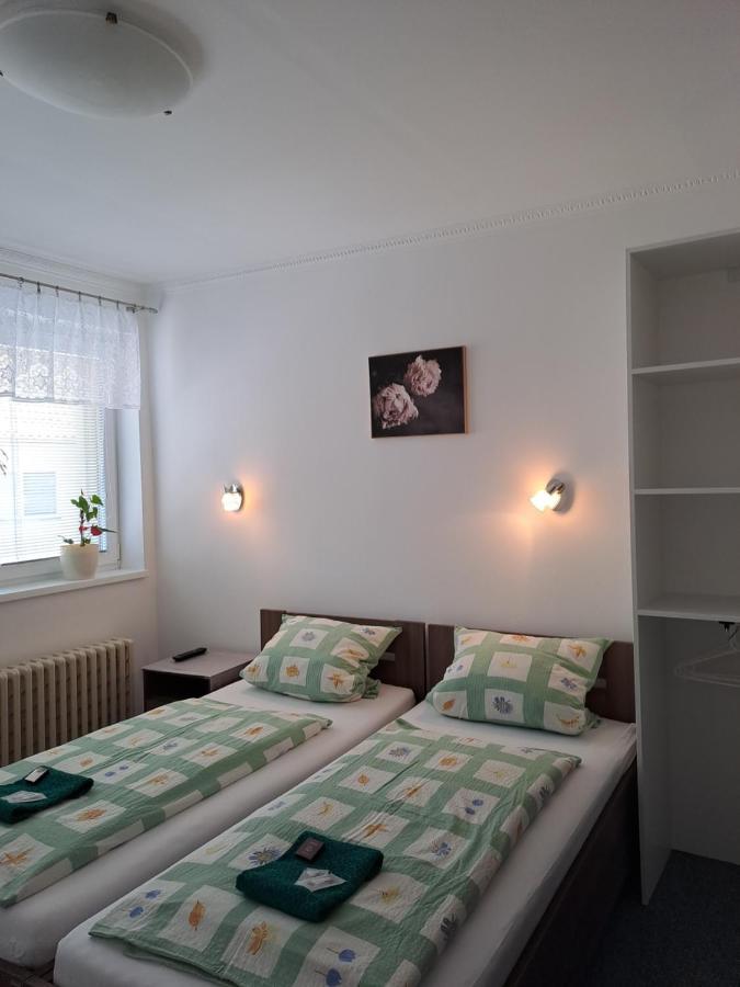 Pension Dana Karaskova Apartment Kutná Hora Exterior foto
