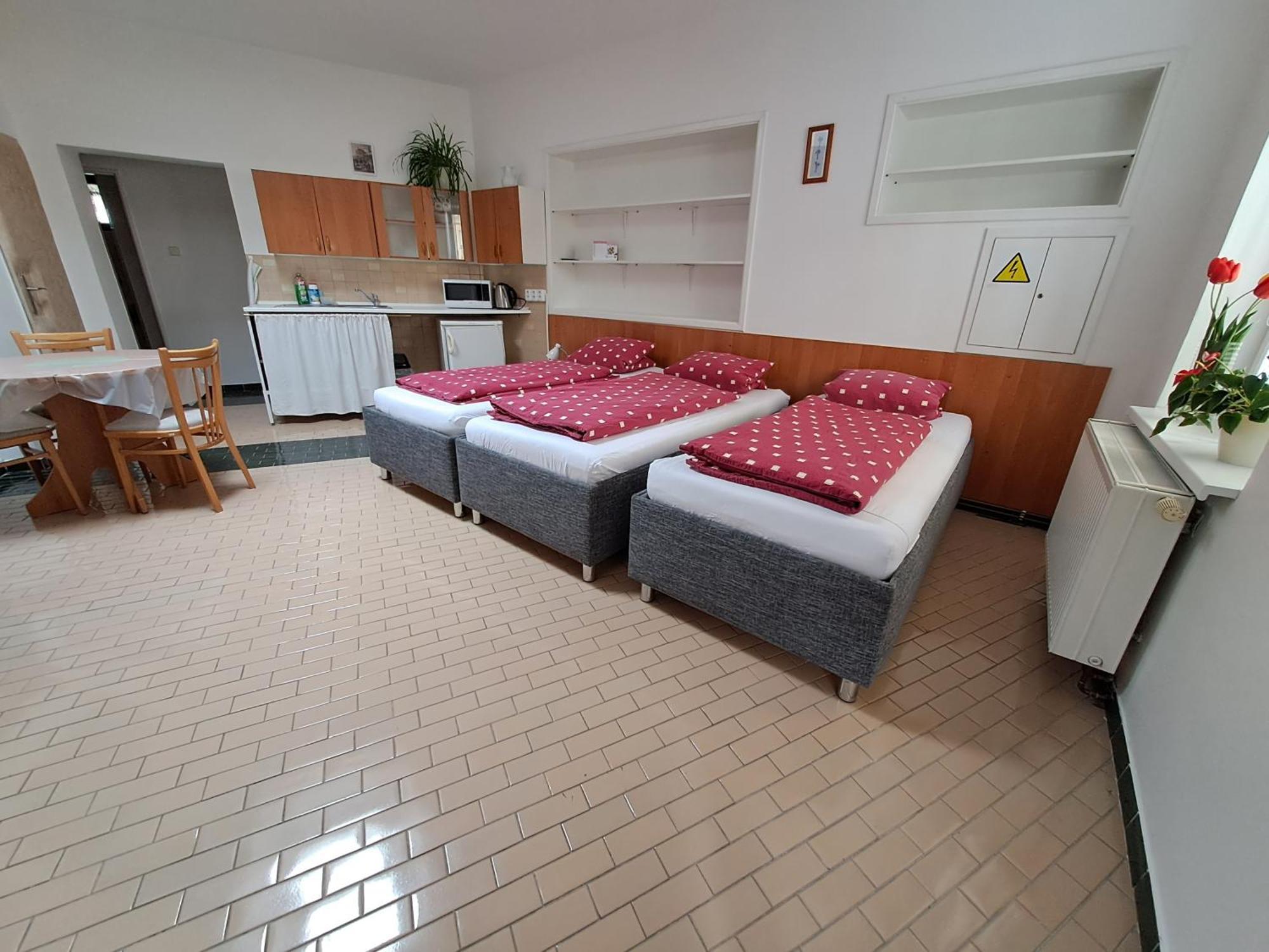 Pension Dana Karaskova Apartment Kutná Hora Cameră foto